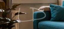 zoom salon.png